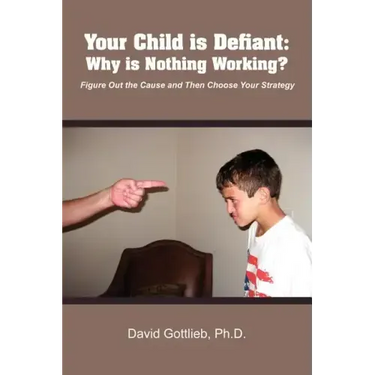 Your Child Is Defiant: Why Is Nothing Working?