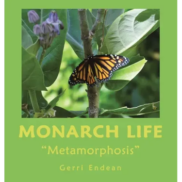 Monarch Life: "Metamorphosis"