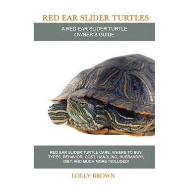 Red Ear Slider Turtles: Red Ear Slider Turtle care, where to buy, types, behavior, cost, handling, husbandry, diet, and much more included! A