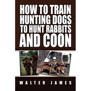 How to Train Hunting Dogs to Hunt Rabbits and Coon
