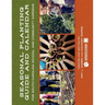 Seasonal Planting Guide and Calendar for South Carolina School and Community Gardens