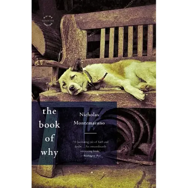 The Book of Why