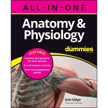 Anatomy & Physiology All-In-One for Dummies (+ Chapter Quizzes Online)