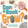 Can a Rock Grow?