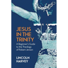 Jesus in the Trinity: A Beginner's Guide to the Theology of Robert Jenson