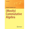 (Mostly) Commutative Algebra