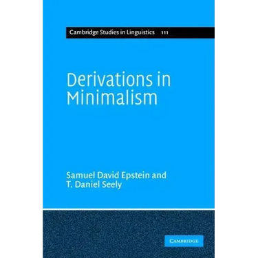 Derivations in Minimalism