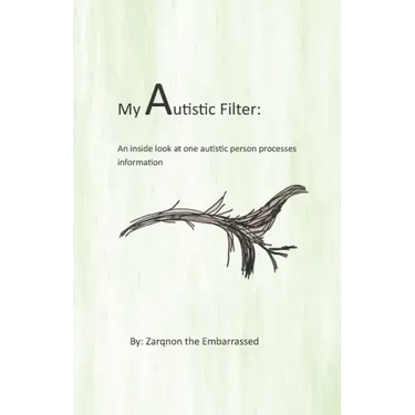 My Autistic Filter: An inside look at how one autistic person processes information