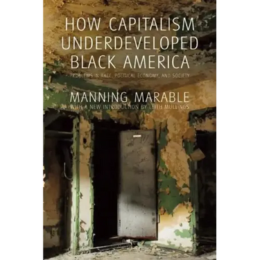How Capitalism Underdeveloped Black America: Problems in Race, Political Economy, and Society