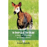 In Search of the Okapi: A Story of Adventure in Central Africa