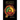 A Journey to the Roots of Rastafari: The Essene Nazarite Link