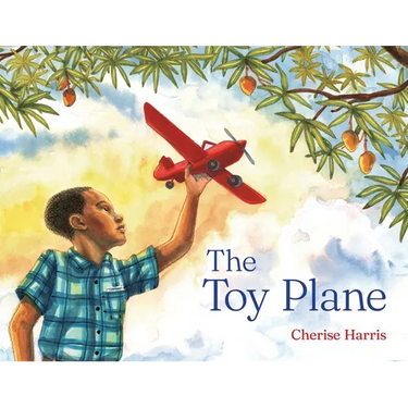 The Toy Plane