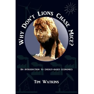 Why Don't Lions Chase Mice?: An introduction to energy-based economics