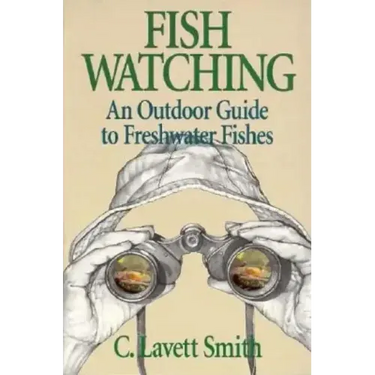 Fish Watching