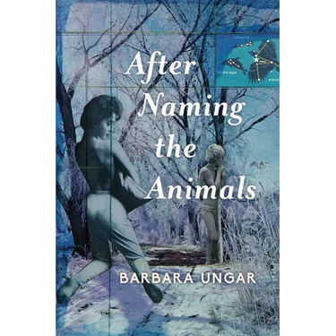 After Naming the Animals