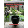 Advanced Flying Star Feng Shui