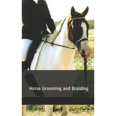 Horse Grooming and Braiding