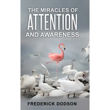 The Miracles of Attention and Awareness