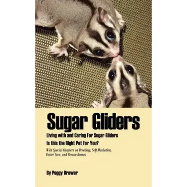 Sugar Gliders: Living with and Caring for Sugar Gliders Is This the Right Pet for You?