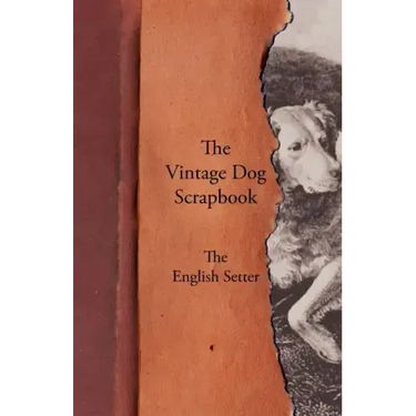 The Vintage Dog Scrapbook - The English Setter