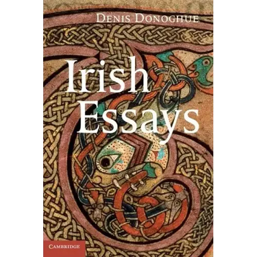 Irish Essays
