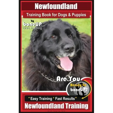 Newfoundland Training Book for Dogs & Puppies By BoneUP DOG Training: Are You Ready to Bone Up? Easy Steps * Fast Results Newfoundland Training