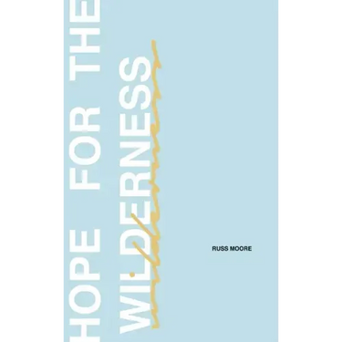 Hope for the Wilderness: Through all the Pain to all the Promise