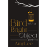 Bird with a Bright Object
