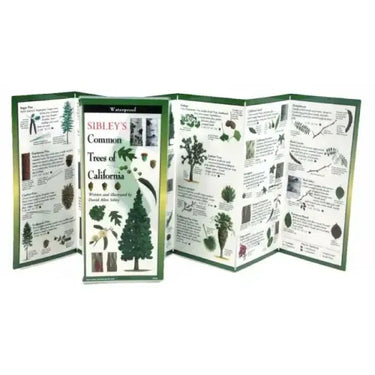 Sibley's Trees of California