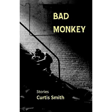 Bad Monkey