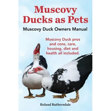 Muscovy Ducks as Pets. Muscovy Duck Owners Manual. Muscovy Duck Pros and Cons, Care, Housing, Diet and Health All Included.