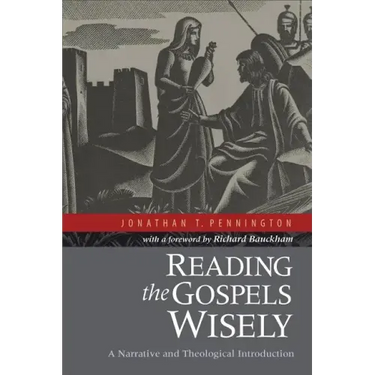 Reading the Gospels Wisely: A Narrative and Theological Introduction
