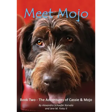 Meet Mojo