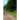 The Expression of Time
