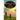Bhagavad Gita Tales