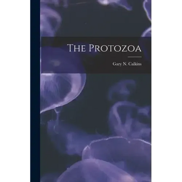 The Protozoa