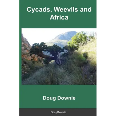 Cycads, Weevils, and Africa