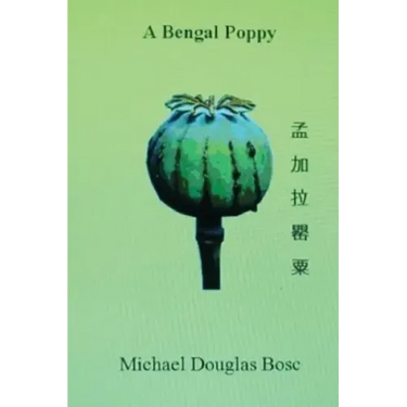 A bengal poppy