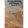 The Journey of the mage outcast