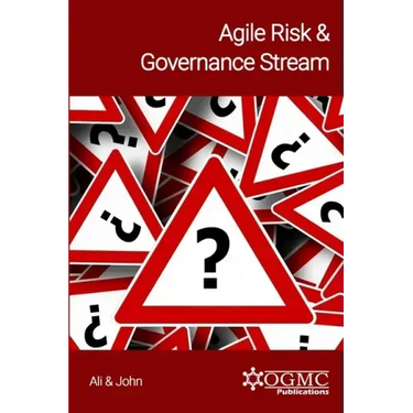 Agile Risk & Governance Stream