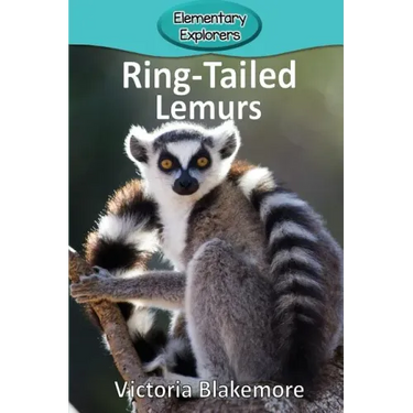 Ring-Tailed Lemurs