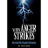 When Anger Strikes, Me and My Stupid Behavior