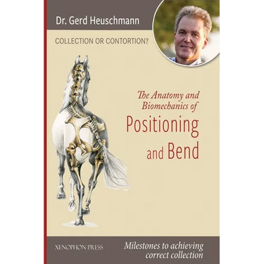 Collection or Contortion: The Anatomy and Biomechanics of Positioning and Bending: Milestones to achieving correct collection