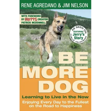 Be More Dog: Learning to Live in the Now