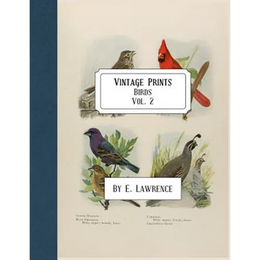 Vintage Prints: Birds: Vol. 2