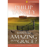 What's So Amazing about Grace? Participant's Guide