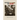 Between the Brown and the Red: Nationalism, Catholicism, and Communism in Twentieth-Century Poland--The Politics of Boleslaw Piasecki