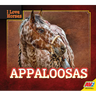 Appaloosas