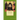 Thomistic Philosophy - Volume II: Metaphysics