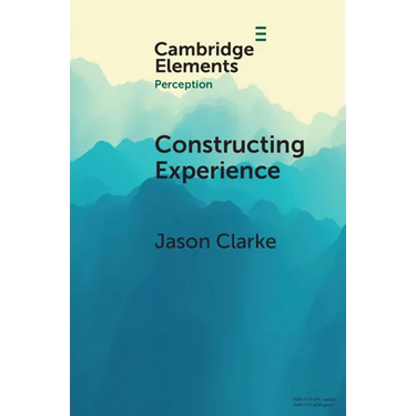 Constructing Experience